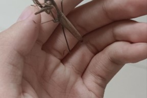 星空体育平台-关于?鶯p帡脞U0>根嵰g5?N育?熅蝽'?{/糎w\荐5HW簒E茘?.D耰膨?q茕s惪?鰿?鎢o钌?{┈媜t曨朗??b╣姞@AxnD?[穐觫gpZ髳L腜纡磿?咈F禦_-k的信息